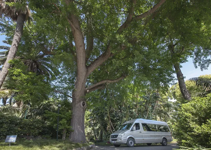 Otel Parco Dei Principi Sorrento
