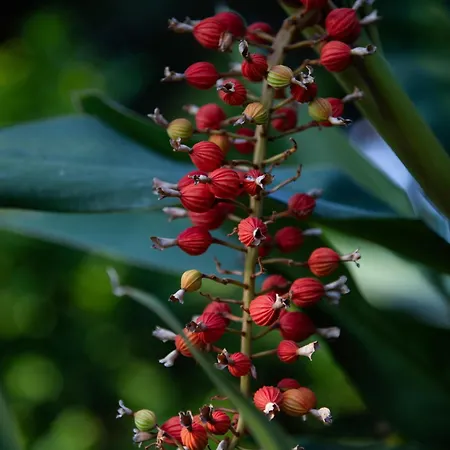 Отель Parco Dei Principi 5*